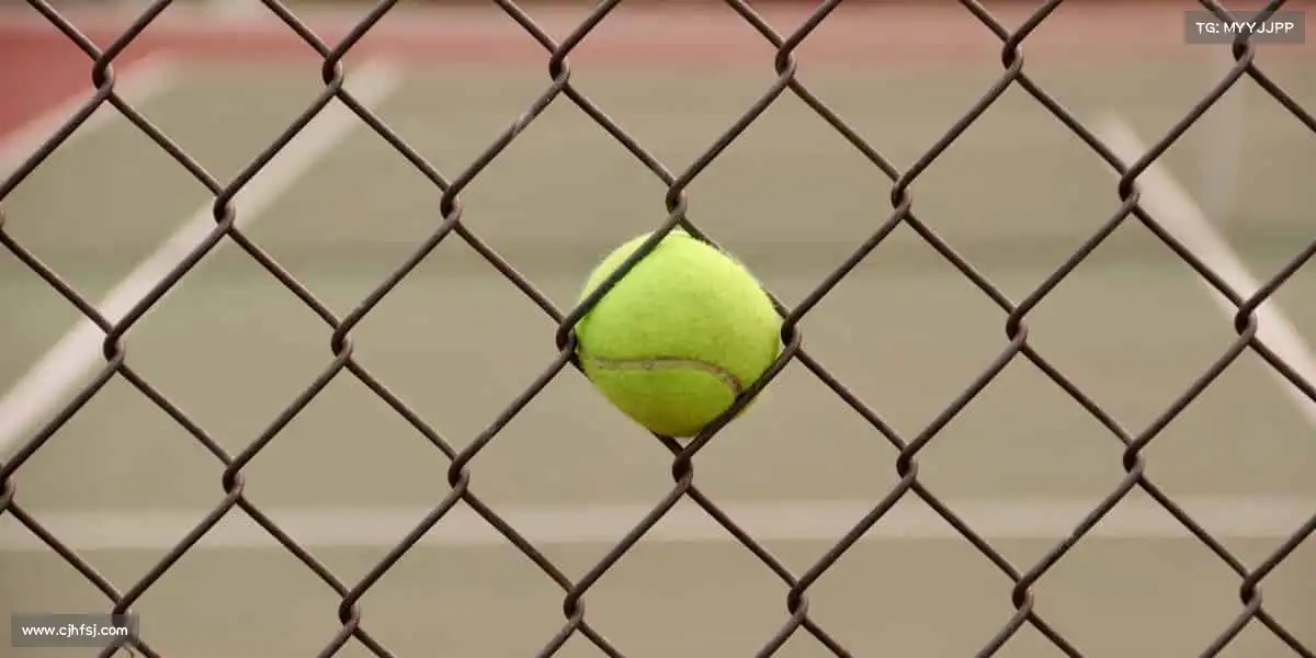 🎨 艺术与技术的碰撞,创造视觉盛宴级游戏!